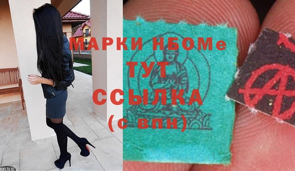 стафф Карпинск