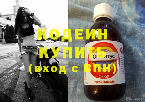 стафф Карпинск
